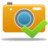 Camera Accept Icon